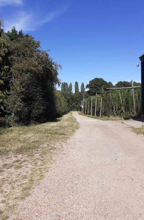 China Farm Barn Bed & Breakfast Canterbury Luaran gambar