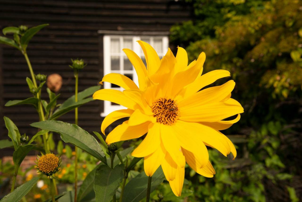 China Farm Barn Bed & Breakfast Canterbury Luaran gambar